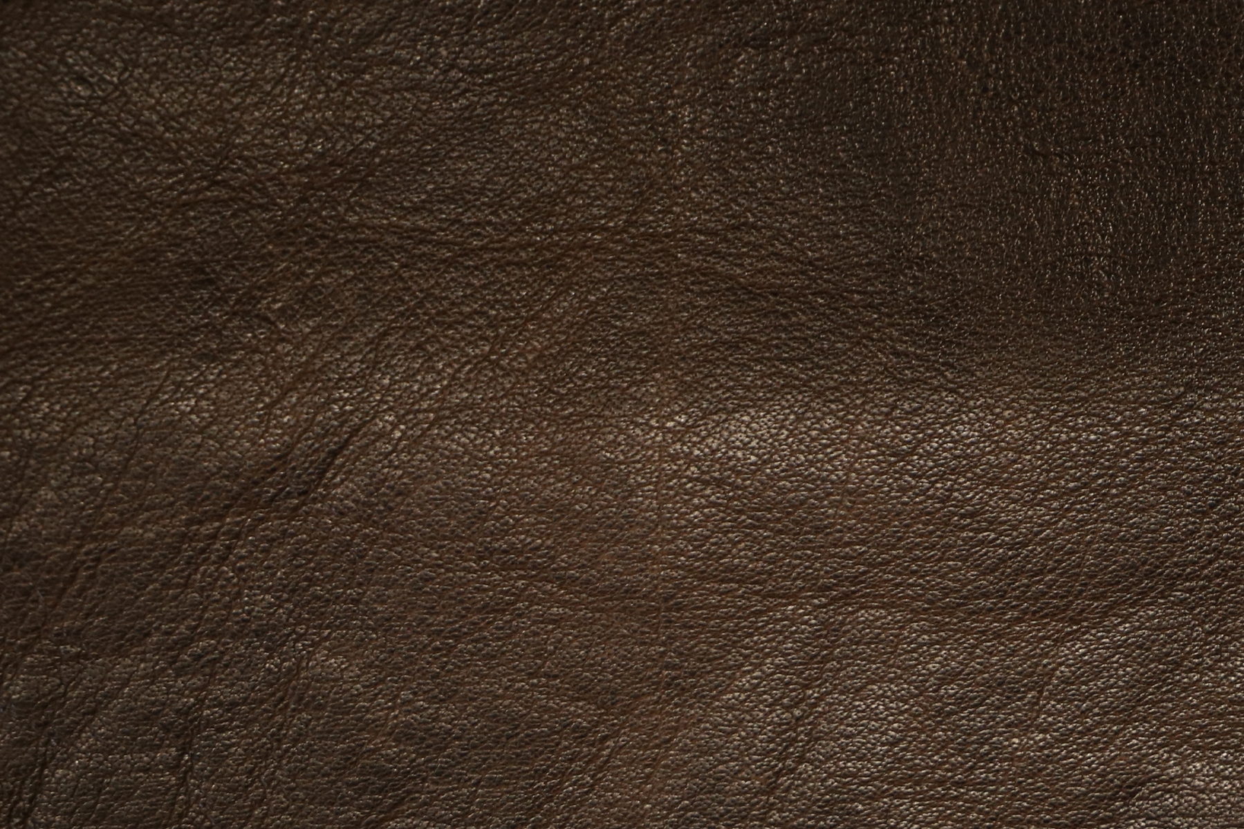 pelli-buffalo-brown